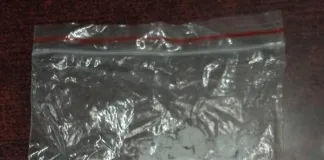 Joint Police Operation in Laingsburg Seizes R50,000 in Drugs Joint Police Operation in Laingsburg Seizes R50,000 in Drugs