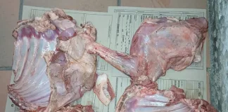 Two Arrested for Suspected Stock Theft