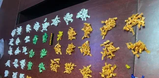 Man Arrested with R170,000 of Cocaine on South Coast Road