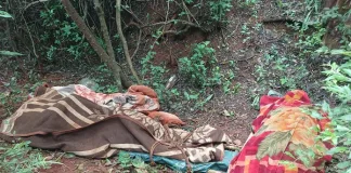 Two Men Found Dead at Lily Mine Two Men Found Dead at Lily Mine