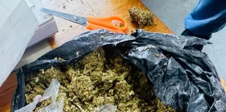 direct and fatual Parolee Arrested for Smuggling Contraband into Prison Parolee Arrested for Smuggling Contraband into Prison