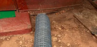 Two Foreign Nationals to Appear in Musina Court for Hardware Store Burglary