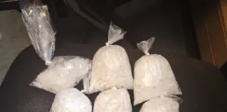 Reckless Driver Stop Leads to Drug Bust