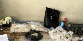 Police Arrest Two for Drug Dealing