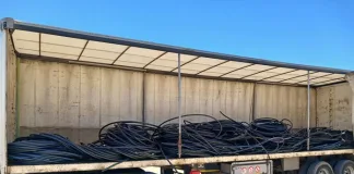 Twenty-Five Chinese Nationals Arrested in Copper Cable Theft, Appear in Court