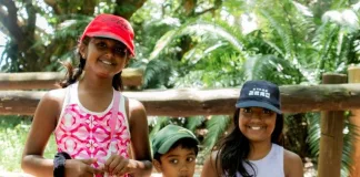 Festive Fun, Big Milestones, and Record Visitor Numbers at Crocworld