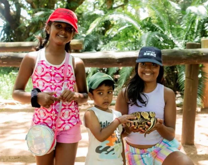 Festive Fun, Big Milestones, and Record Visitor Numbers at Crocworld