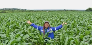 The new year and beyond – strengthening South African agriculture with Corteva Agriscience