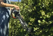 BATTERY GARDEN TOOLS – ESSENTIAL INSIGHTS FOR SMALL-SPACE GARDENERS