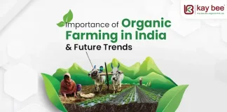 Importance of Organic Farming in India: Growth, Benefits & Future Trends