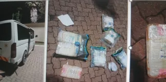 Drug Trafficking Intercepted at Lebombo Border, Suspect Sentenced