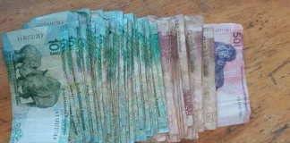 Two Arrested in Drug Bust, R150,000 in Narcotics Seized Two Arrested in Drug Bust, R150,000 in Narcotics Seized