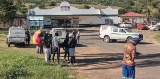 Pit Bulls Attack and Kill Man in Early Morning Incident