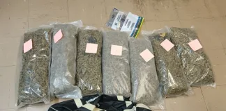Two Men Arrested for Dagga Possession