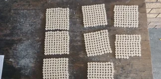 Crime Prevention Unit Seizes Mandrax Tablets in Leiden, Arrests Teenager
