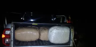 Limpopo Police Seize R2.6 Million in Dagga Following High-Speed Chase Limpopo Police Seize R2.6 Million in Dagga Following High-Speed Chase