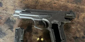 Delft Operation Leads to Two Arrests for Illegal Ammunition Operation Leads to Two Arrests for Illegal Ammunition