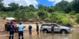 Limpopo Police Recover Three Stolen Vehicles Near River Border Police Recover Three Stolen Vehicles Near River Border