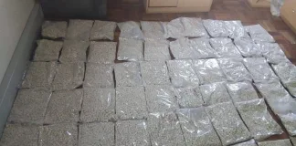 SAPS Seize Drugs Worth Over R1 Million, Two Arrested SAPS Seize Drugs Worth Over R1 Million in, Two Arrested