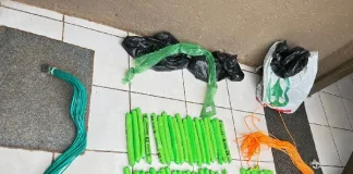 Teenager Arrested in Roodepoort for Possession of Explosives Teenager Arrested in Roodepoort for Possession of Explosives