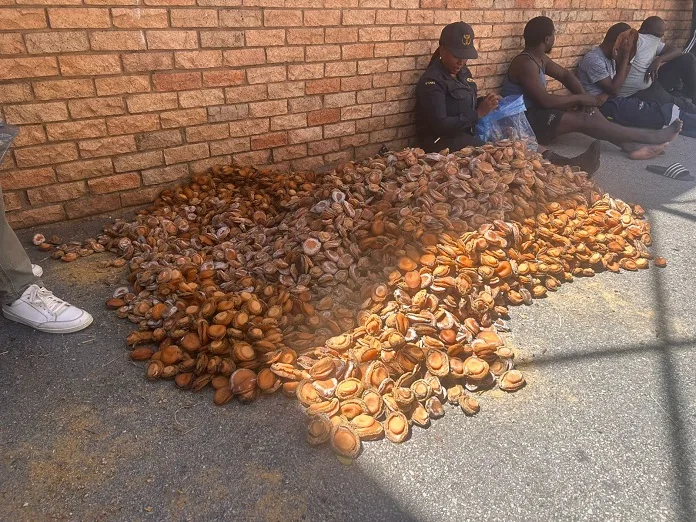 637800136_1337011788450458_2870557454152766881_n Three Arrested in Major Blow to Illegal Abalone