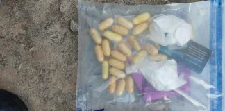 Foreign National Arrested in Matafeni Drug Bust, Cocaine Valued at R250,000 Seized Foreign National Arrested in Matafeni Drug Bust, Cocaine Valued at R250,000 Seized