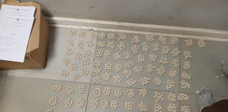 Man to Face Court on Drug Charges