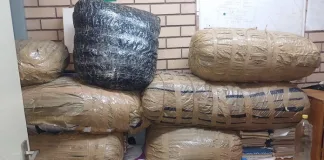 Two Arrested, R1 Million Dagga Seized in Limpopo