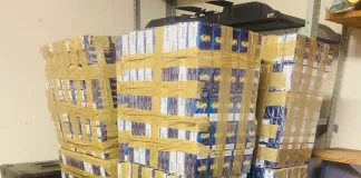 Man to Face Court After R570,000 Illicit Cigarette Bust