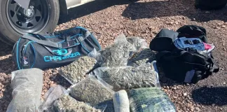 Joint Roadblock Operation Leads to Arrest of Suspect for Drug Possession