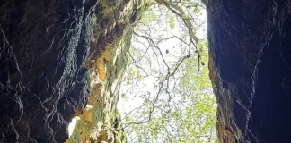5 Things You Didn’t Know About The Bothongo WonderCave