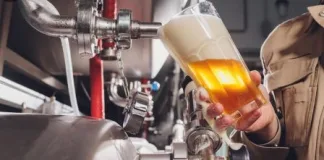 Celebrating the Stories, Craft and Heritage Behind South African Beer