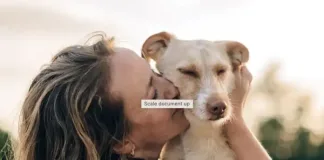 Mr D Expands Pet Care Offering with Absolute Pets Partnership Mr D Expands Pet Care Offering with Absolute Pets Partnership