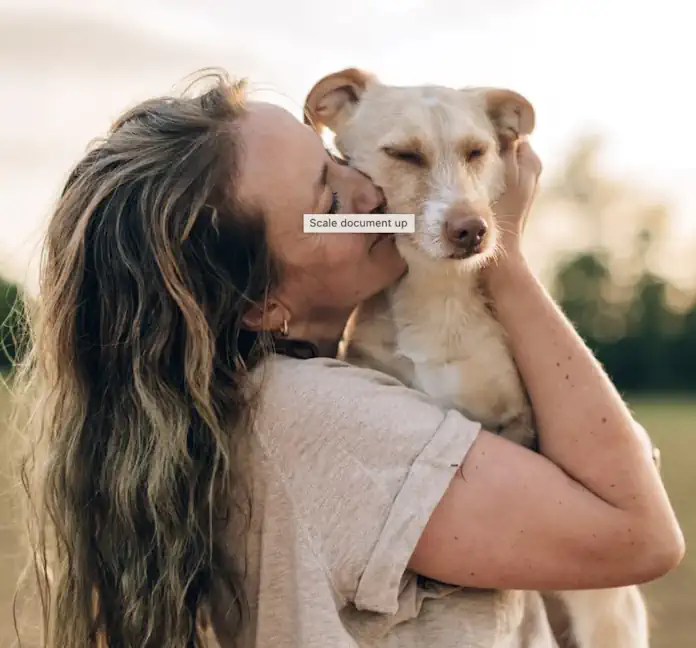 Mr D Expands Pet Care Offering with Absolute Pets Partnership Mr D Expands Pet Care Offering with Absolute Pets Partnership