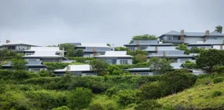 Exciting New Developments Planned for Renishaw Coastal Precinct in 2026!