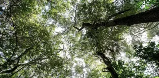 SA’s mindful wilderness sanctuary: why Malkoha St Lucia has taken centre stage in the digital detox travel shift