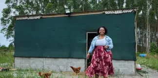 Women-led enterprises strengthen climate resilience in iSimangaliso communities in KZN