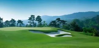 Natural solutions for superior turf management and horticulture Natural solutions for superior turf management and horticulture