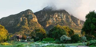 Last Dance of the Season: Kirstenbosch Summer Sunset Concerts Close with a Celebratory March Line-up Last Dance of the Season: Kirstenbosch Summer Sunset Concerts Close with a Celebratory March Line-up