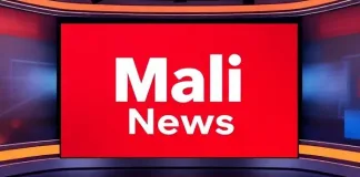 Jihadist Attack on Fuel Convoy in Western Mali Kills at Least 15