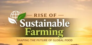 The Rise of Sustainable Farming in the Global Food Industry