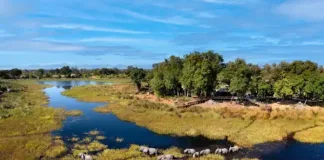 Why Shoulder Season May Be the Smartest Time to Book an African Safari