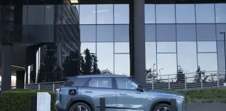 Petrol pain is driving South Africans into Chinese hybrids