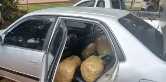 Two Arrested After Major Dagga Bust Two Arrested After Major Dagga Bust
