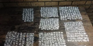 Couple Arrested on Firearm and Drug Charges