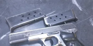 Two Arrested in Mthatha for Stolen Livestock and Unlicensed Firearm