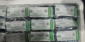 Dagga Worth Over R670,000 Intercepted at OR Tambo Dagga Worth Over R670,000 Intercepted at OR Tambo