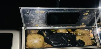SAPS Seize Dagga Worth R1 Million in Witbank, Driver Flees SAPS Seize Dagga Worth R1 Million in Witbank, Driver Flees