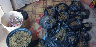 Joint Operation Leads to Major Drug Bust in Galeshewe, Suspect in Custody