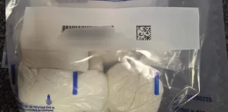 Two Suspects Arrested in Krugersdorp Drug Raid, Drugs Worth R1.7 Million Seized